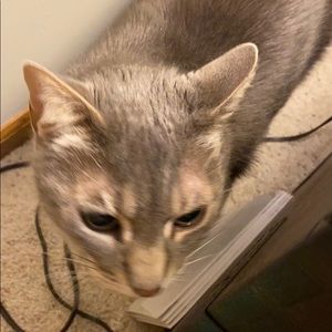 Meet your Posher, Vanessa